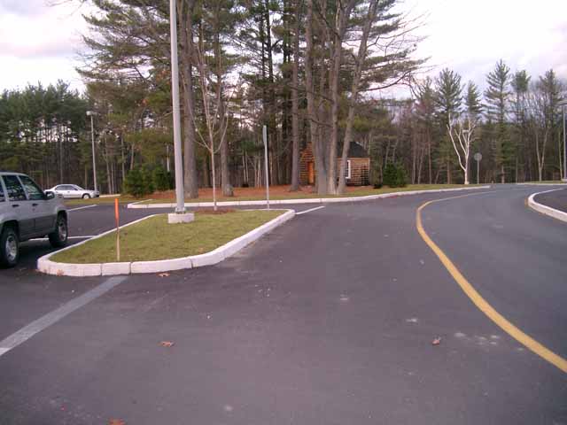 137.CabinInLot